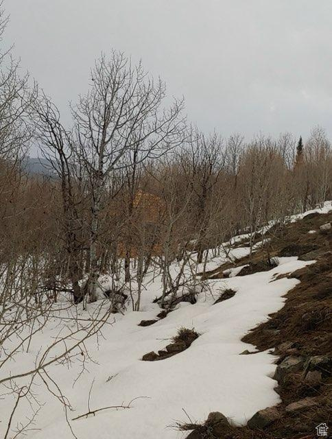 View of snowy landscape