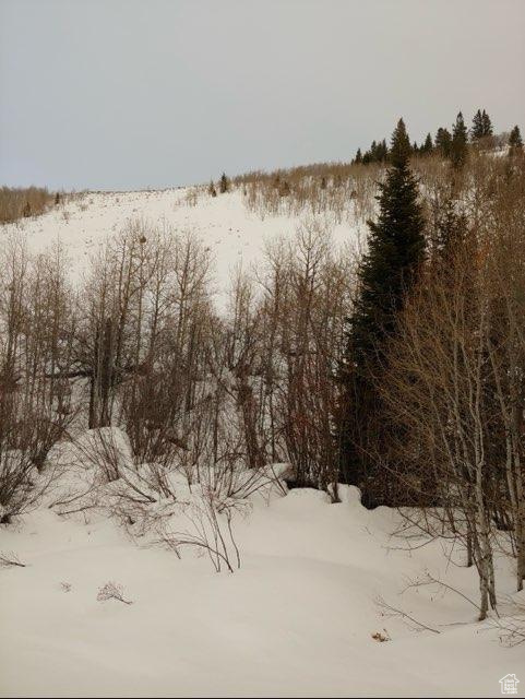 View of snow covered land