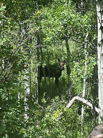 View of undeveloped land