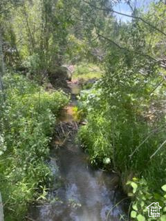 View of undeveloped land