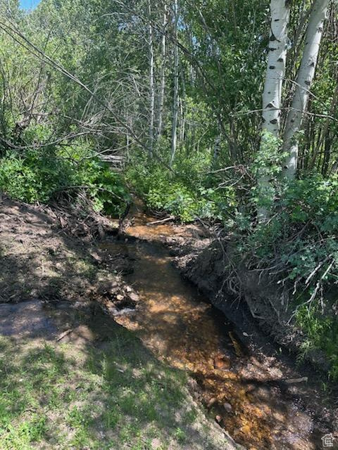 View of undeveloped land