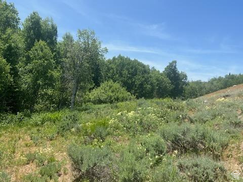 View of undeveloped land