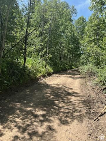 View of road featuring a wooded view
