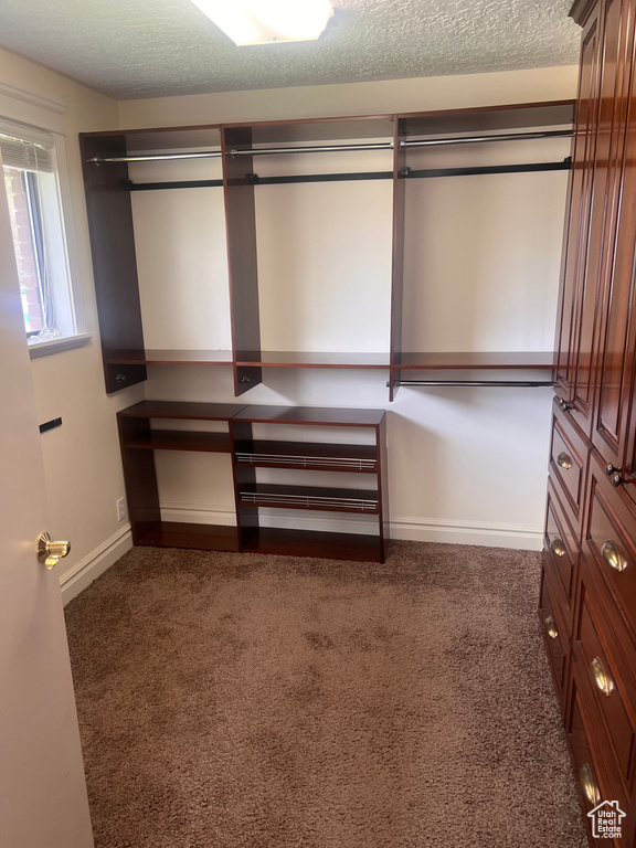 Spacious closet with carpet and built in desk