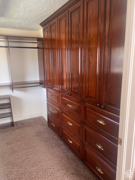 Spacious closet with carpet