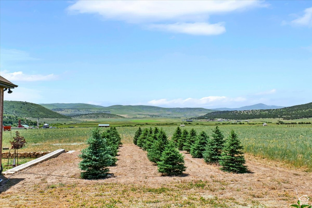29125 N 11090 E Fairview, UT 84629