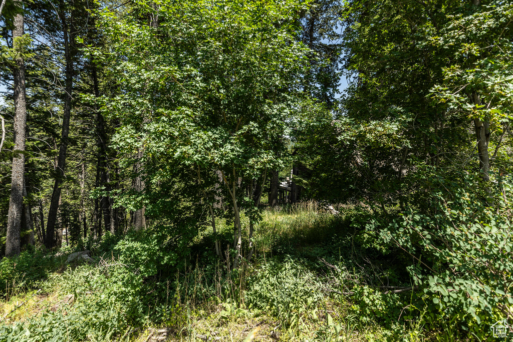 70  MATTERHORN DR Park City, UT 84098