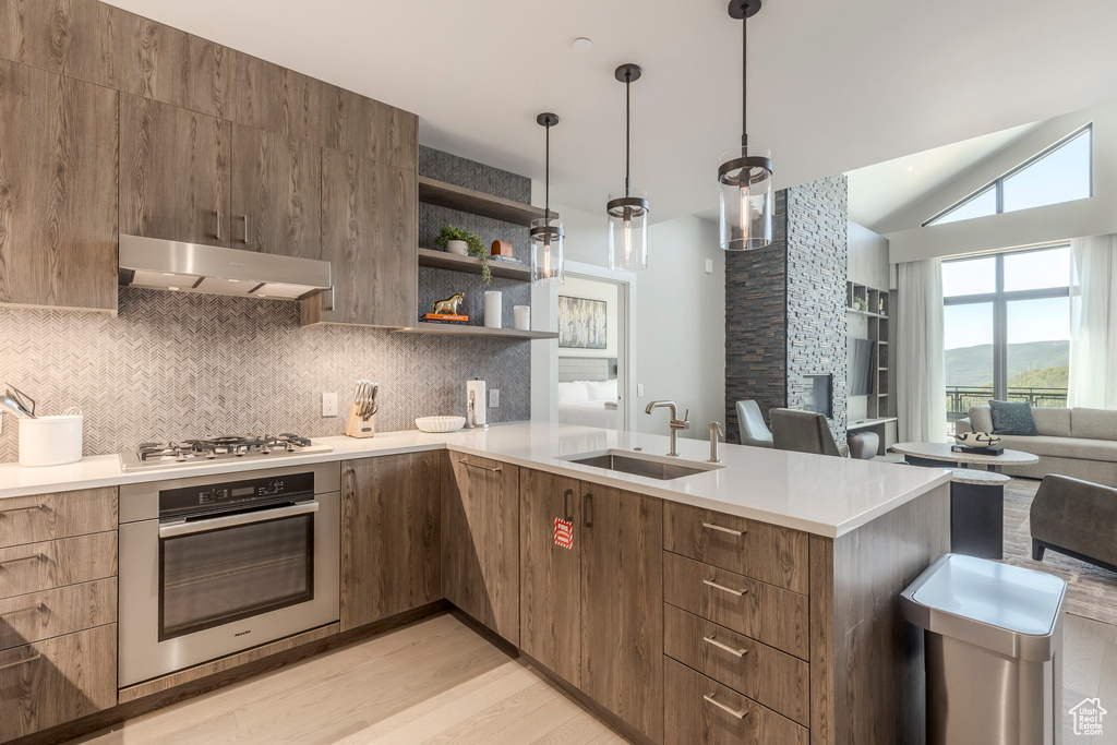 Kitchen featuring stainless steel appliances, under cabinet range hood, modern cabinets, a sink, and open floor plan