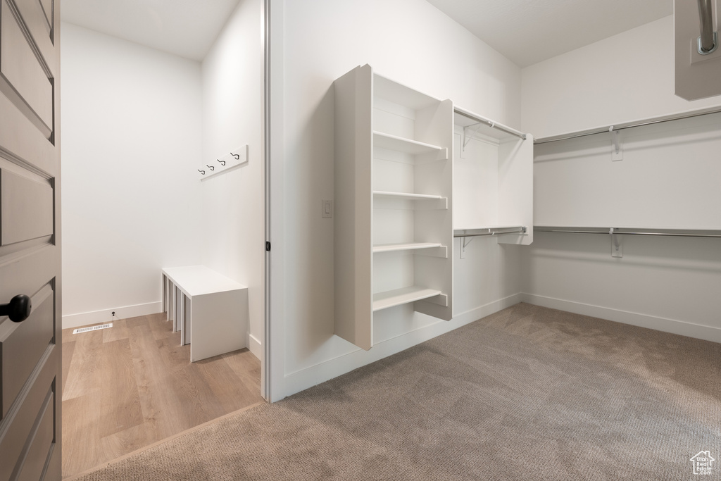 Spacious closet featuring light colored carpet