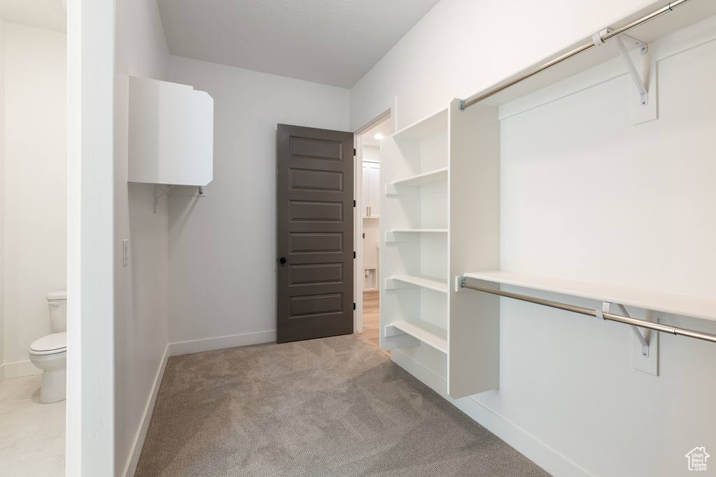 Walk in closet with light colored carpet