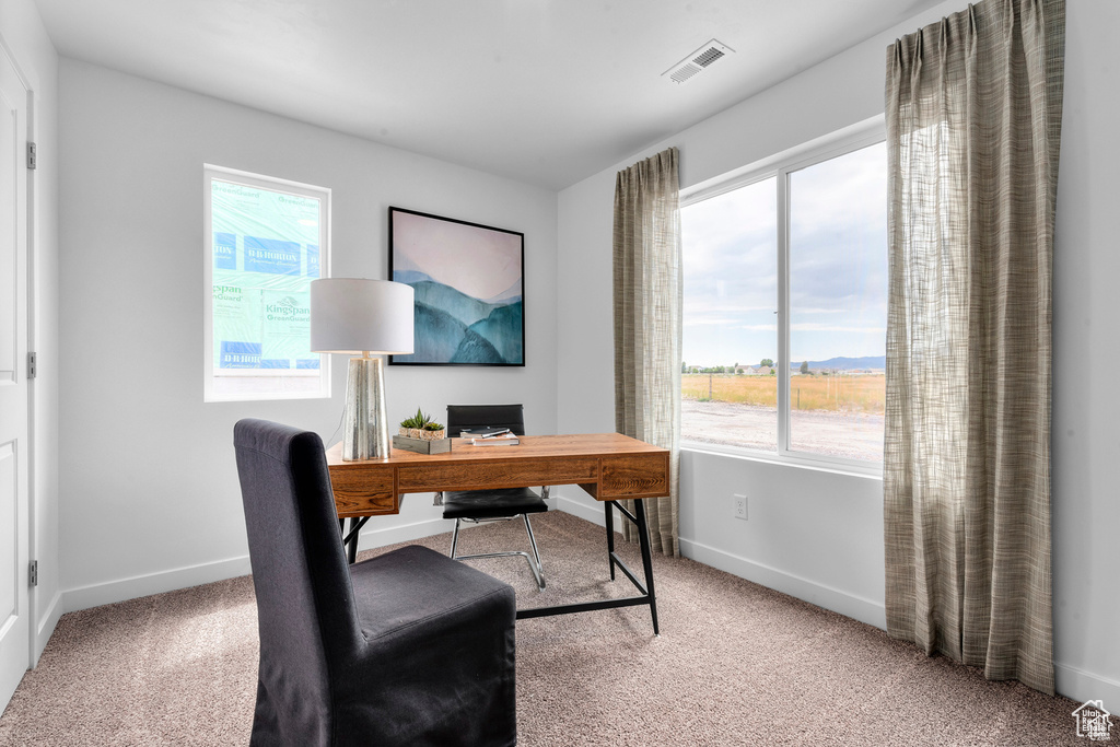 Carpeted office space with visible vents and baseboards