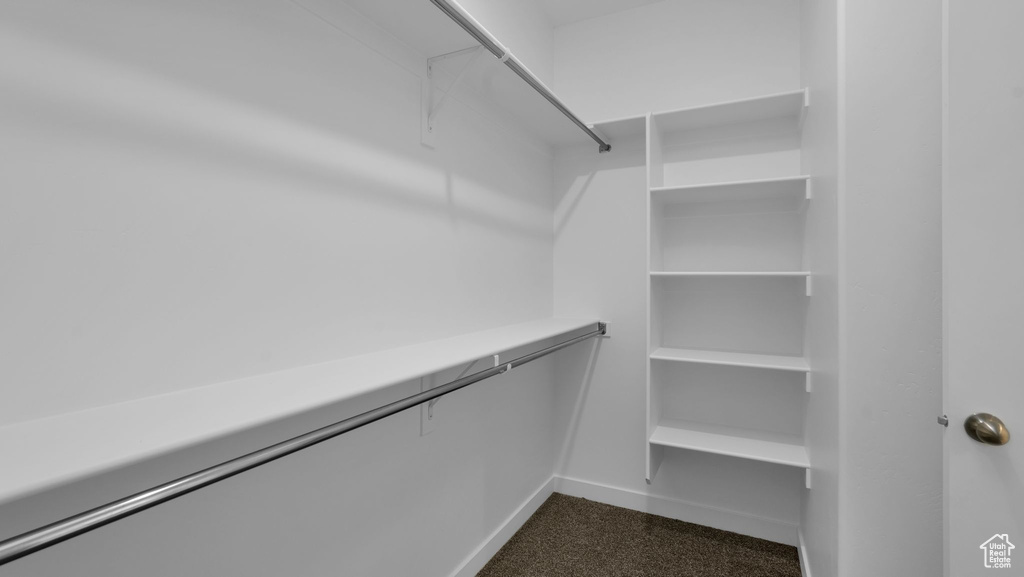 Walk in closet featuring dark carpet