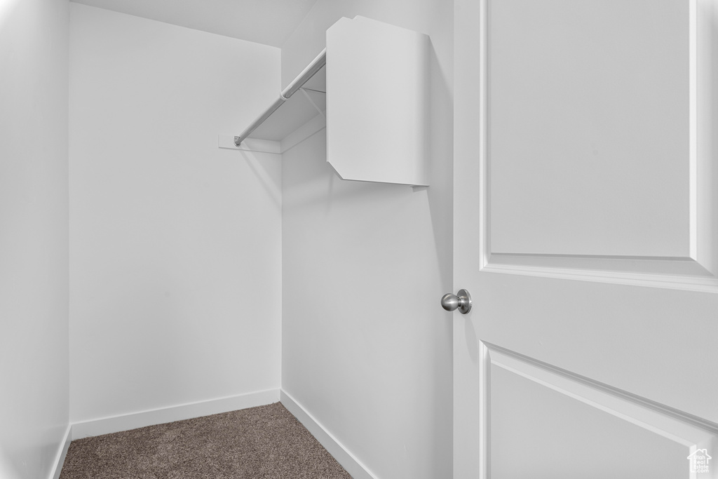 Walk in closet featuring carpet flooring