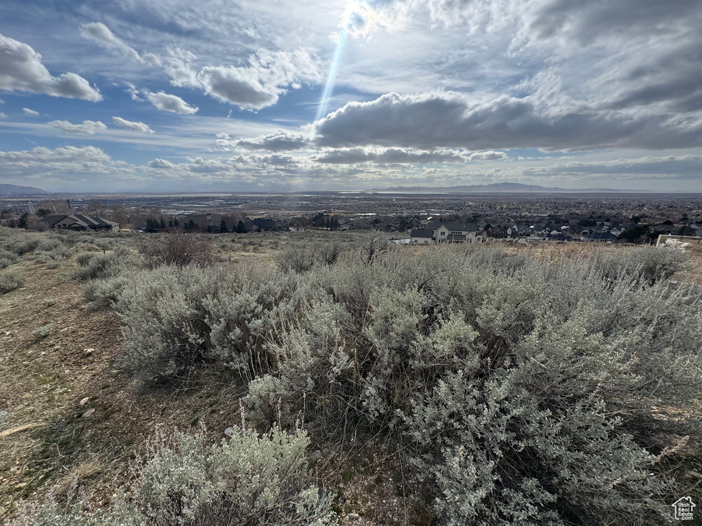 View of nature
