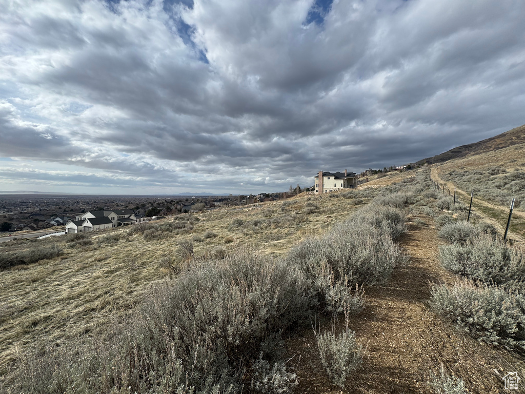 View of local wilderness