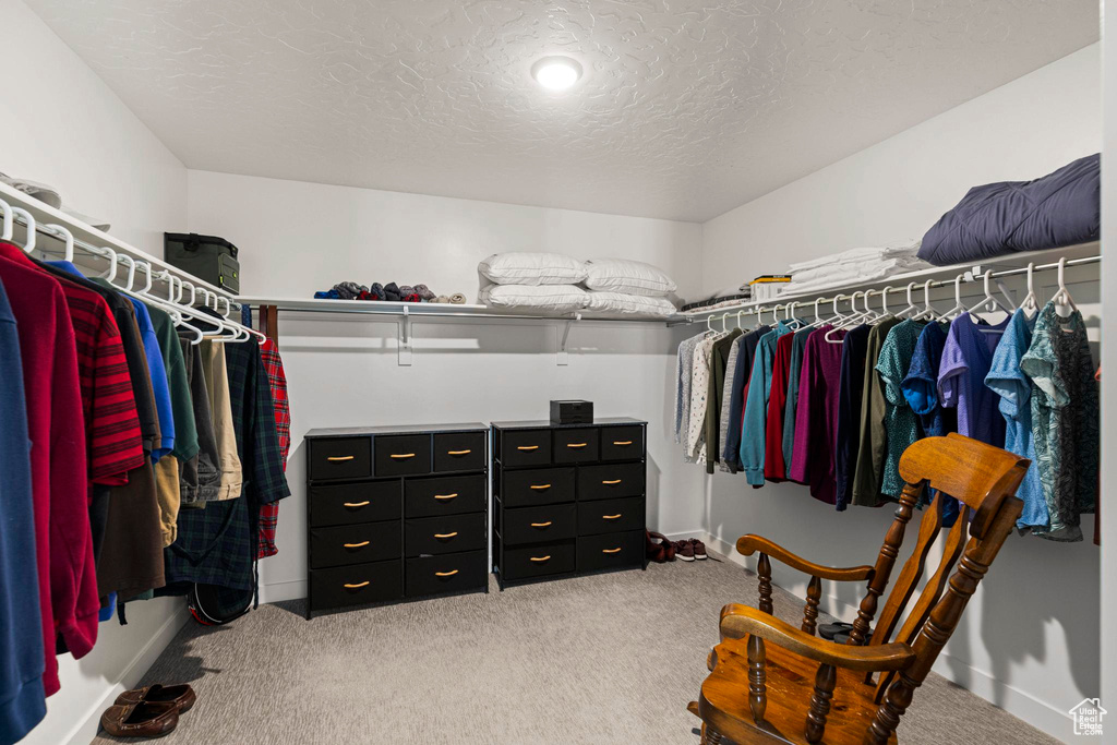 Spacious closet featuring carpet
