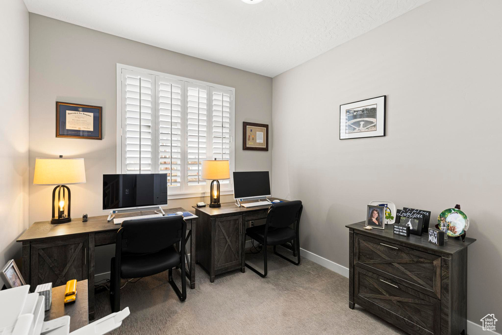 Office area with light carpet and baseboards