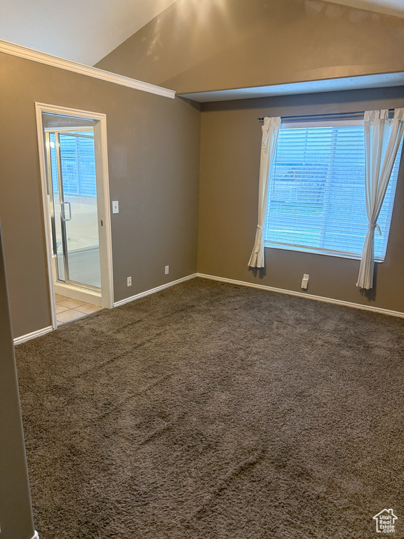 Unfurnished room featuring a wealth of natural light, baseboards, carpet, and vaulted ceiling