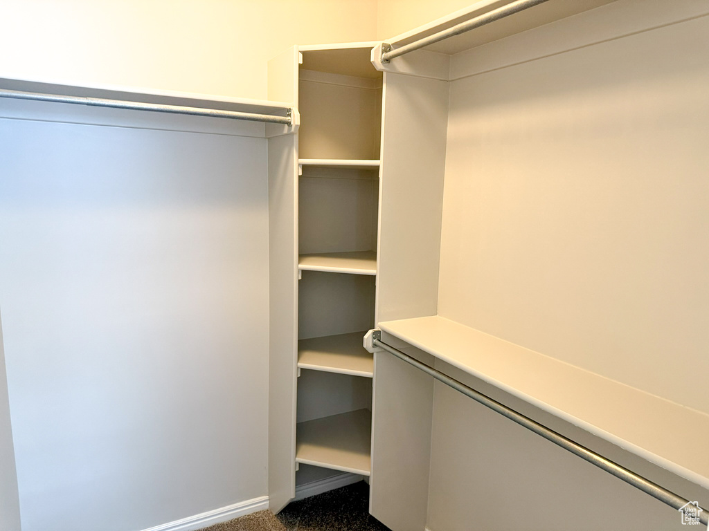 Spacious closet featuring dark colored carpet