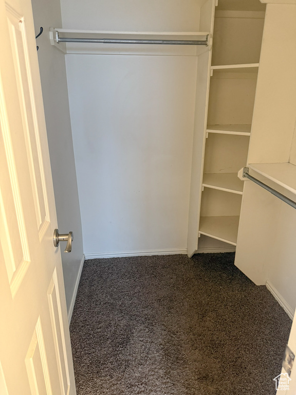 Spacious closet featuring carpet flooring