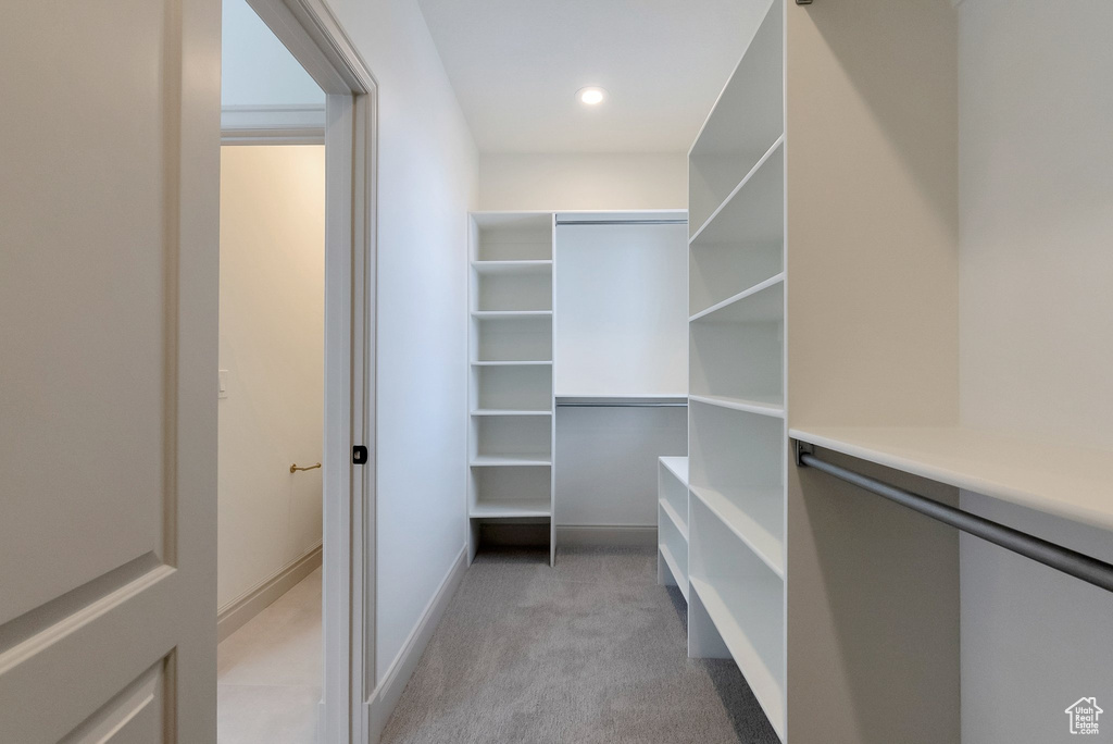Spacious closet with light carpet