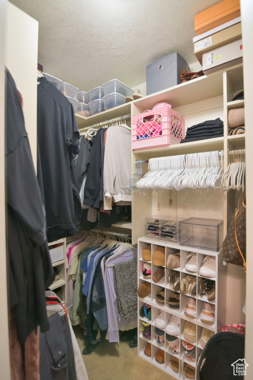 Walk in closet featuring carpet