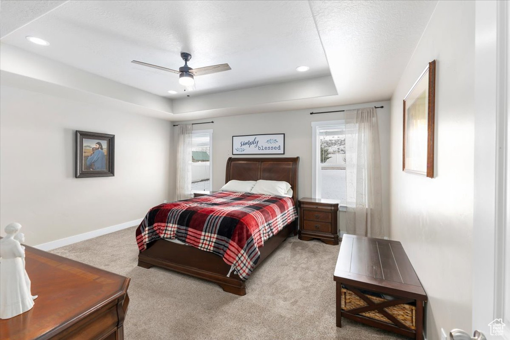 Bedroom featuring multiple windows, a raised ceiling, baseboards, and carpet floors
