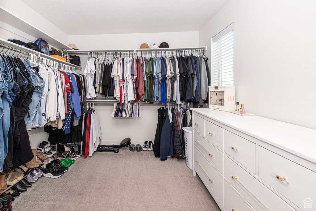 Spacious closet featuring light carpet
