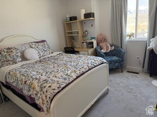 View of carpeted bedroom