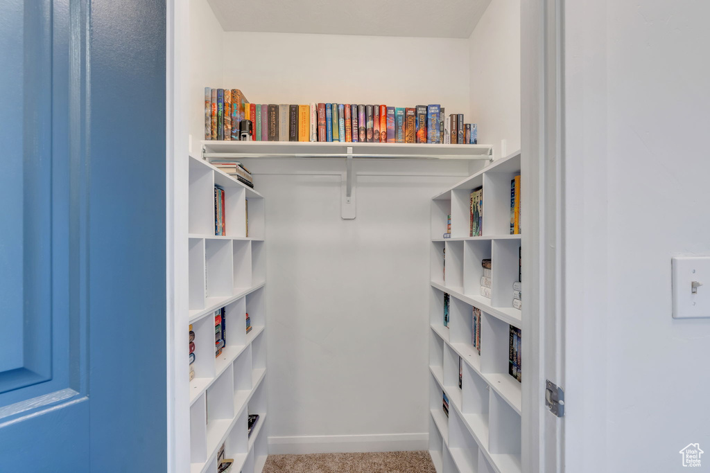 Spacious closet featuring carpet