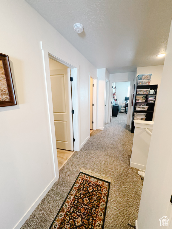 Hallway featuring baseboards, carpet, and a textured ceiling