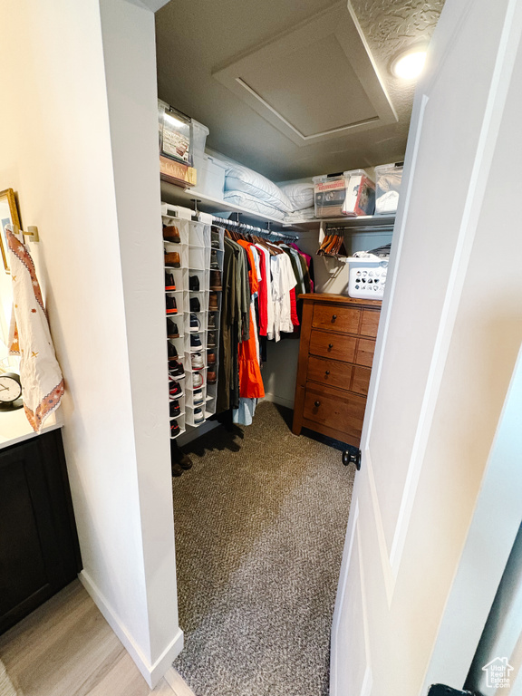 Walk in closet with carpet flooring and attic access