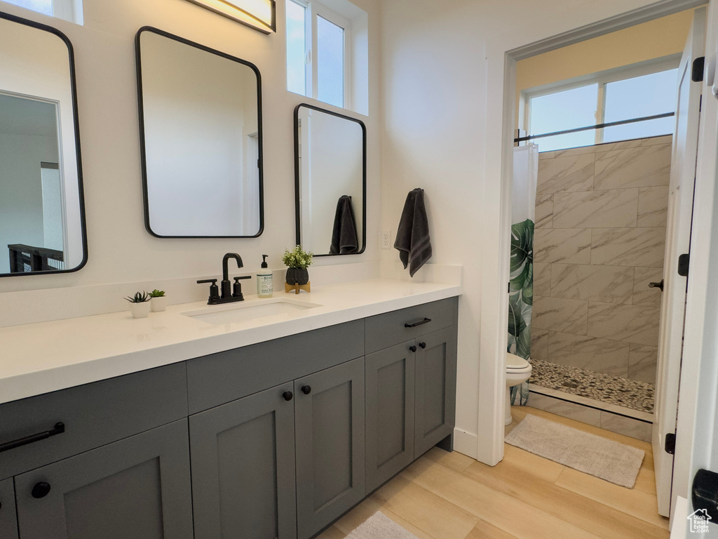Bathroom with toilet, a shower stall, wood finished floors, and vanity