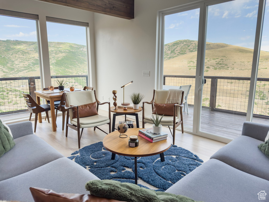 Living area featuring a mountain view and light wood-style flooring