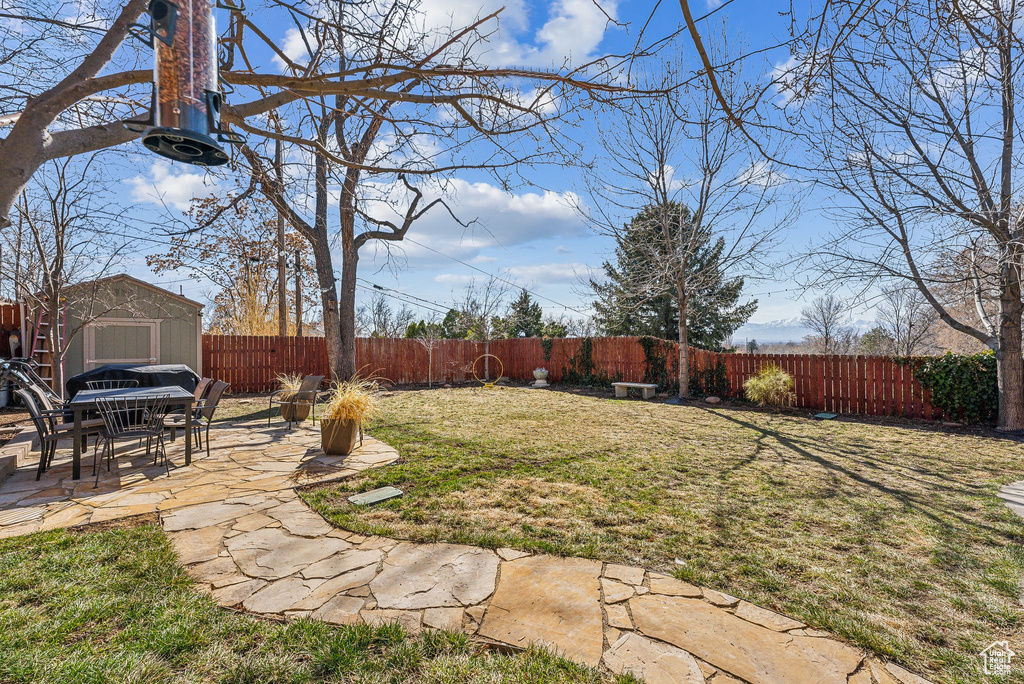 View of yard with a patio, an outbuilding, a fenced backyard, and a storage shed