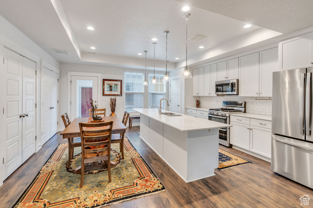 Kitchen featuring visible vents, a center island with sink, a sink, appliances with stainless steel finishes, and a raised ceiling