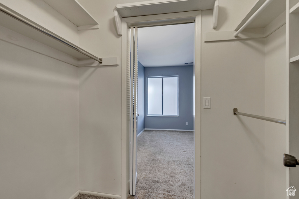 Walk in closet with carpet flooring