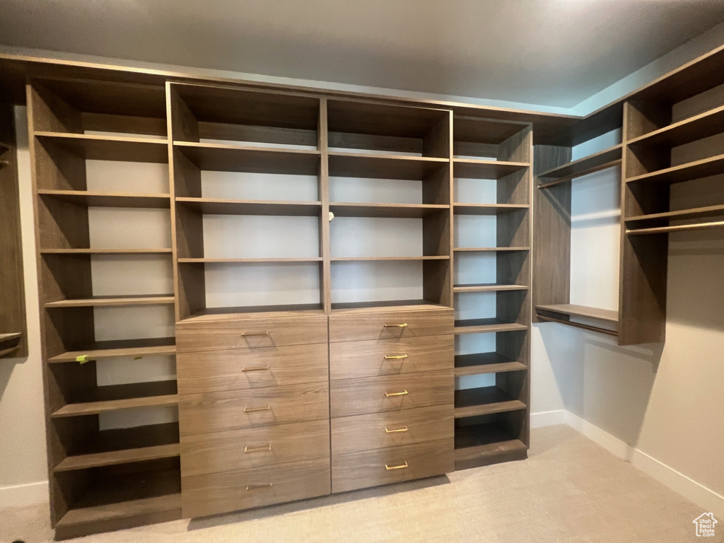 Walk in closet featuring light carpet