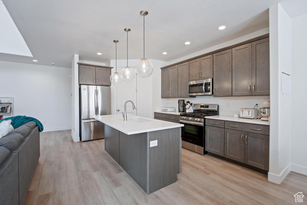 Kitchen featuring a sink, stainless steel appliances, dark brown cabinets, and light wood finished floors