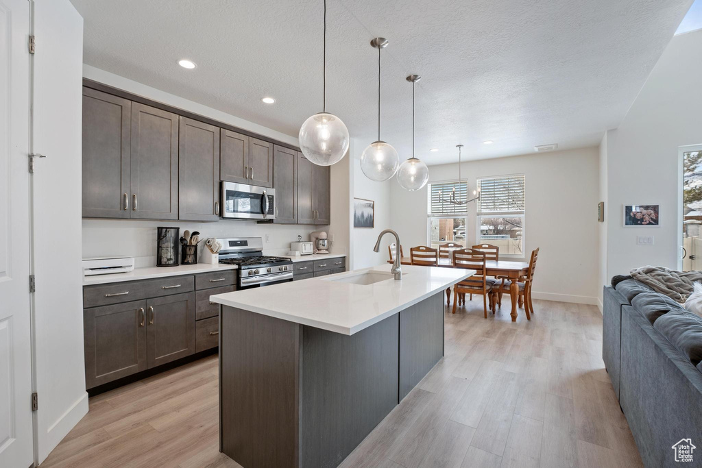 Kitchen featuring dark brown cabinets, light countertops, light wood-style flooring, appliances with stainless steel finishes, and a sink