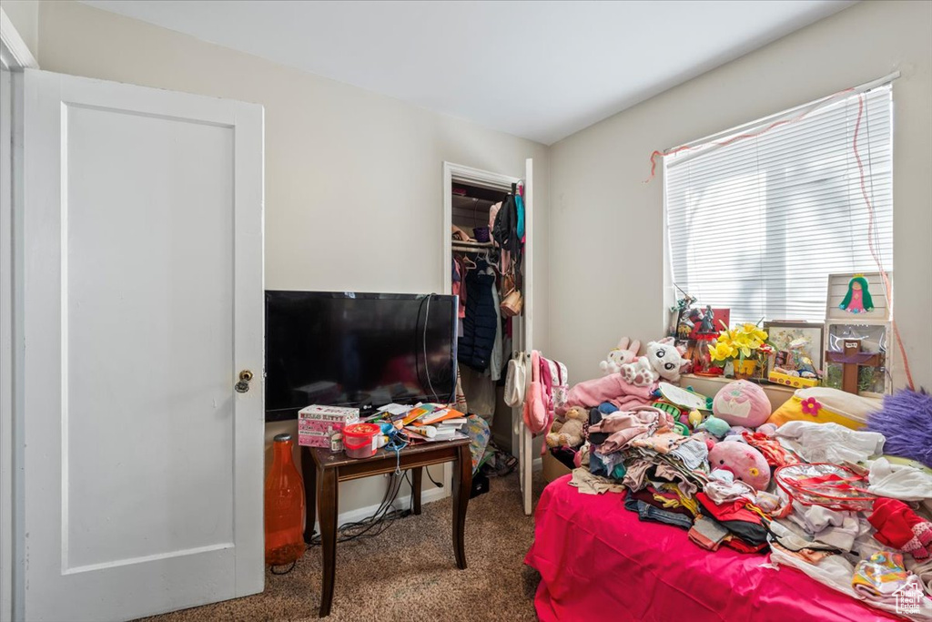 Bedroom featuring a spacious closet, carpet flooring, and a closet