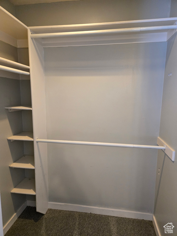 Spacious closet featuring dark carpet