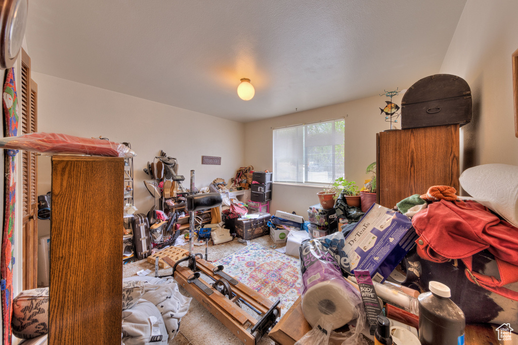 Bedroom featuring carpet