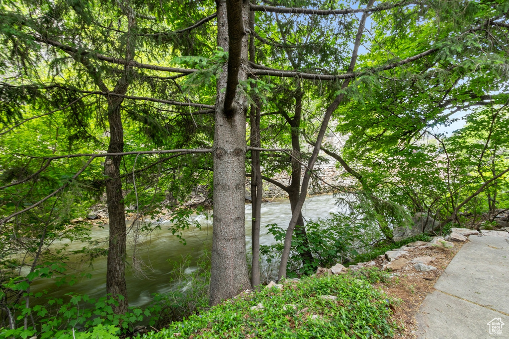 View of water feature featuring a view of trees