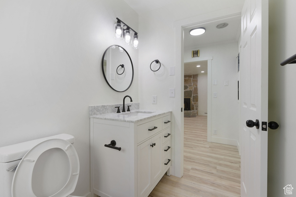 Bathroom featuring a stone fireplace, wood finished floors, and vanity