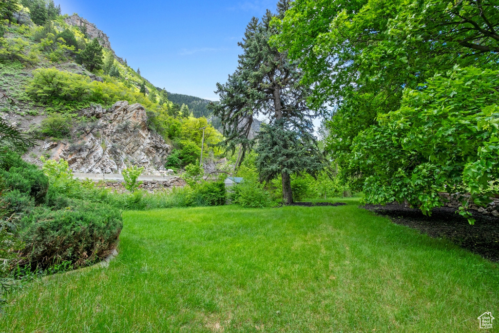 View of yard featuring a mountain view