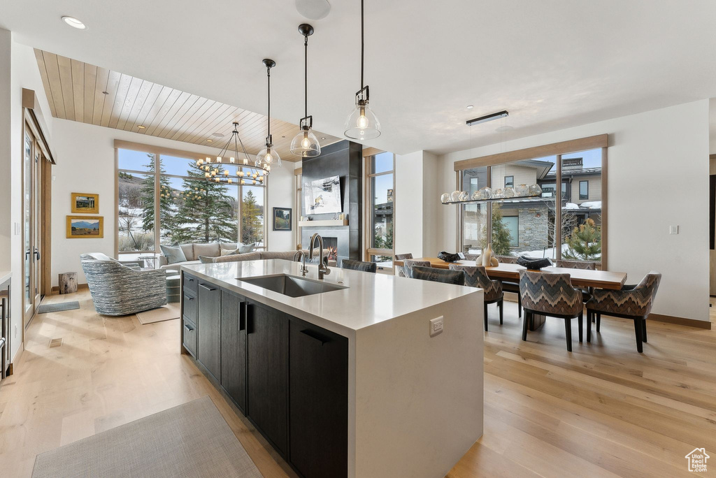 Kitchen featuring a sink, open floor plan, a center island with sink, light wood-style flooring, and dark cabinets