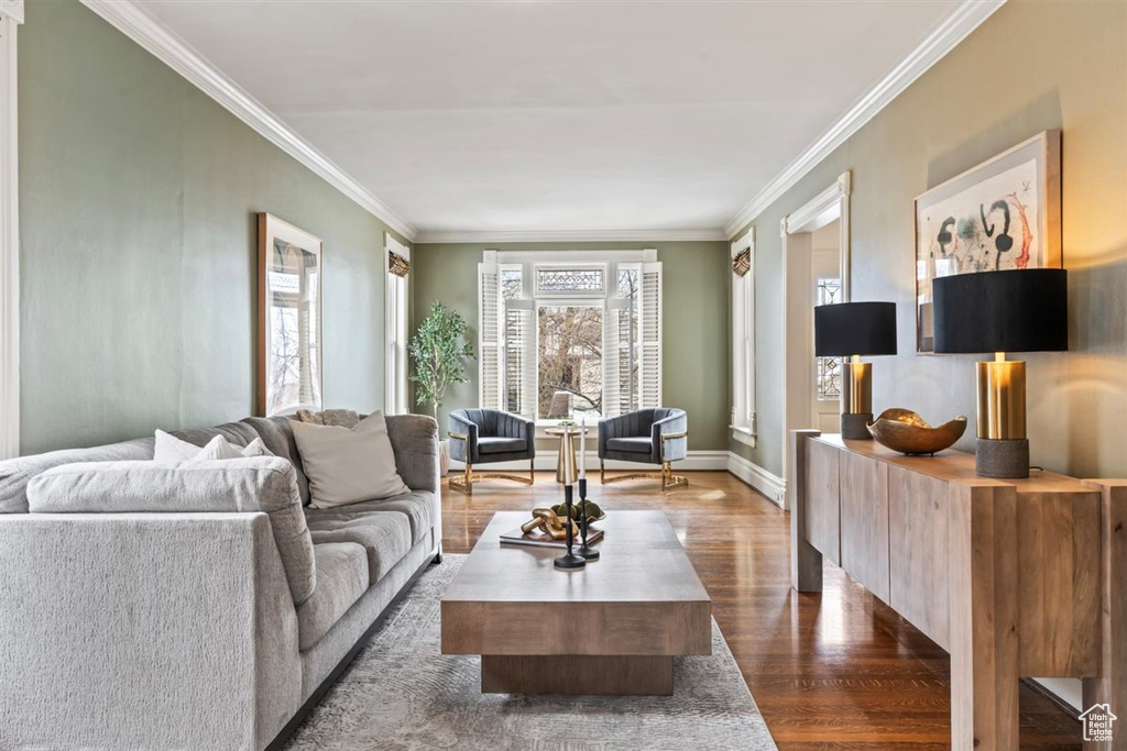Living area with baseboards, dark wood-style floors, and crown molding