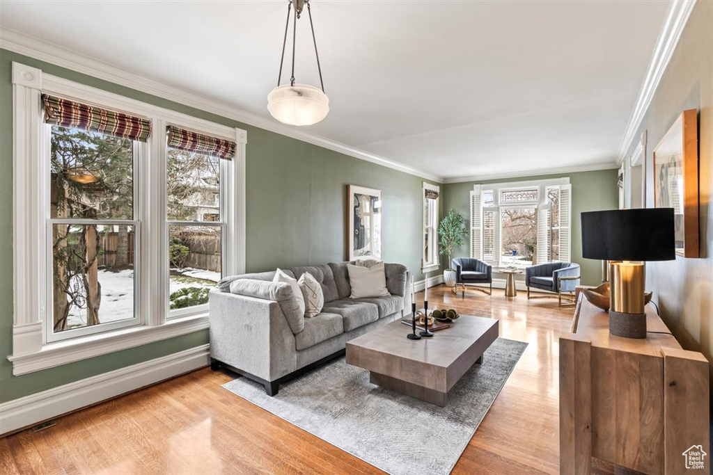 Living area with crown molding, baseboards, and light wood-type flooring