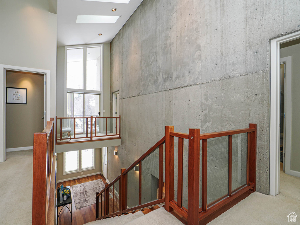 Stairs with a skylight and carpet